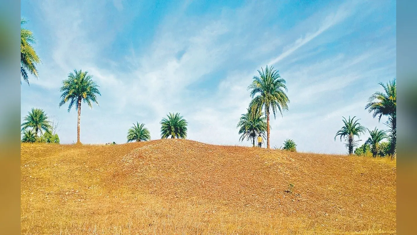 Picnic Spot: नये साल पर पिकनिक मनाने के लिए गिरिडीह के इन जगहों पर उमड़ती है भीड़, एक बार जरूर करें विजिट