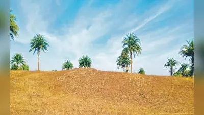 Picnic Spot: नये साल पर पिकनिक मनाने के लिए गिरिडीह के इन जगहों पर उमड़ती है भीड़, एक बार जरूर करें विजिट