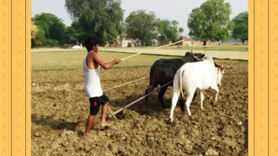 धान का बीज डालने की तैयारी में जुटे किसान, नर्सरी को लेकर वैज्ञानिकों ने दिया सुझाव