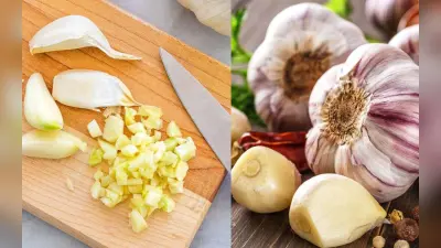 लहसुन खाने के हैं कई फायदे, लेकिन इन लोगों को नहीं करना चाहिए इसका सेवन