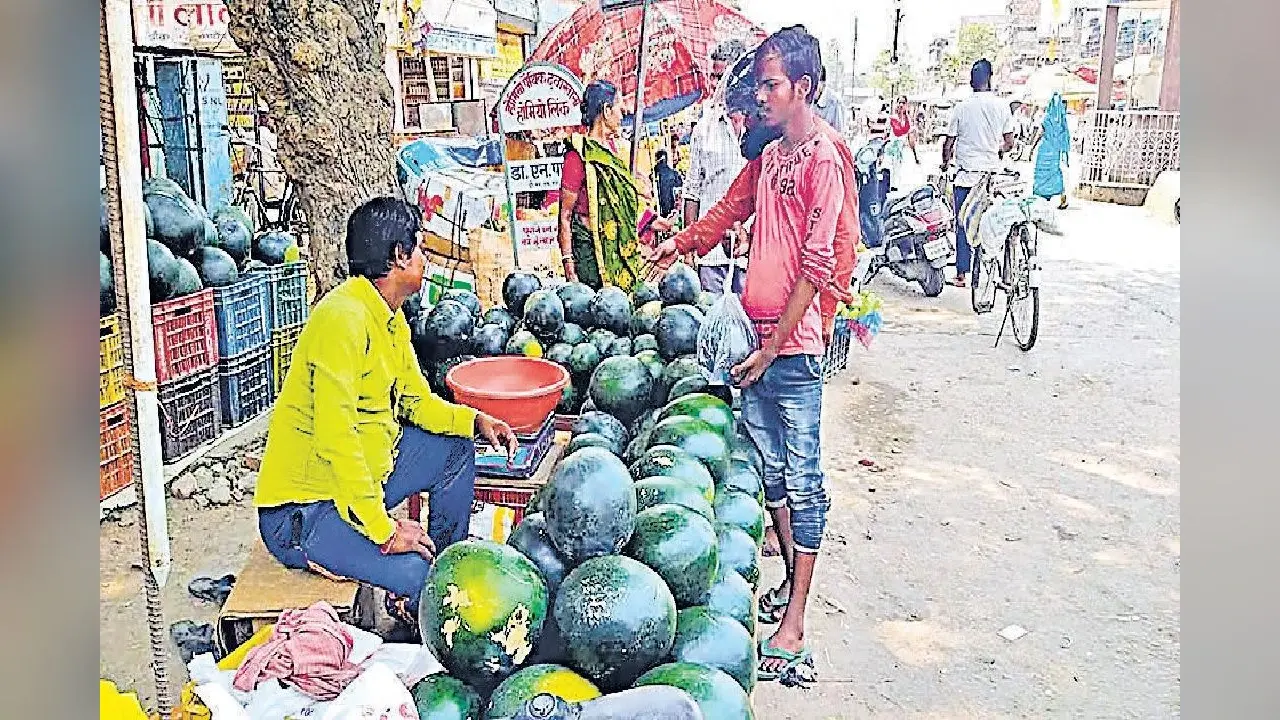 कटिहार में चिलचिलाती धूप व उमस भरी गर्मी से पूरे दिन जनता परेशान, ढूढ़ने पर भी नहीं मिल रहा पेड़ का छांव