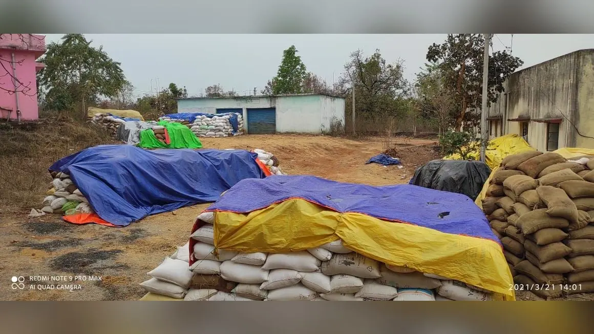 गढ़वा के रमकंडा में केंद्र पहुंचने से पहले ही 3000 क्विंटल धान की हो गयी फर्जी खरीदारी, FCI के अधिकारियों व बिचौलियों की मिलीभगत पर पढ़िए ये रिपोर्ट