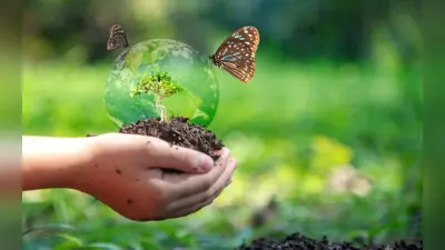 World Soil Day 2023: मिट्टी से है लगाव बनाएं सॉइल साइंस में करियर, जानिए यहां सबकुछ