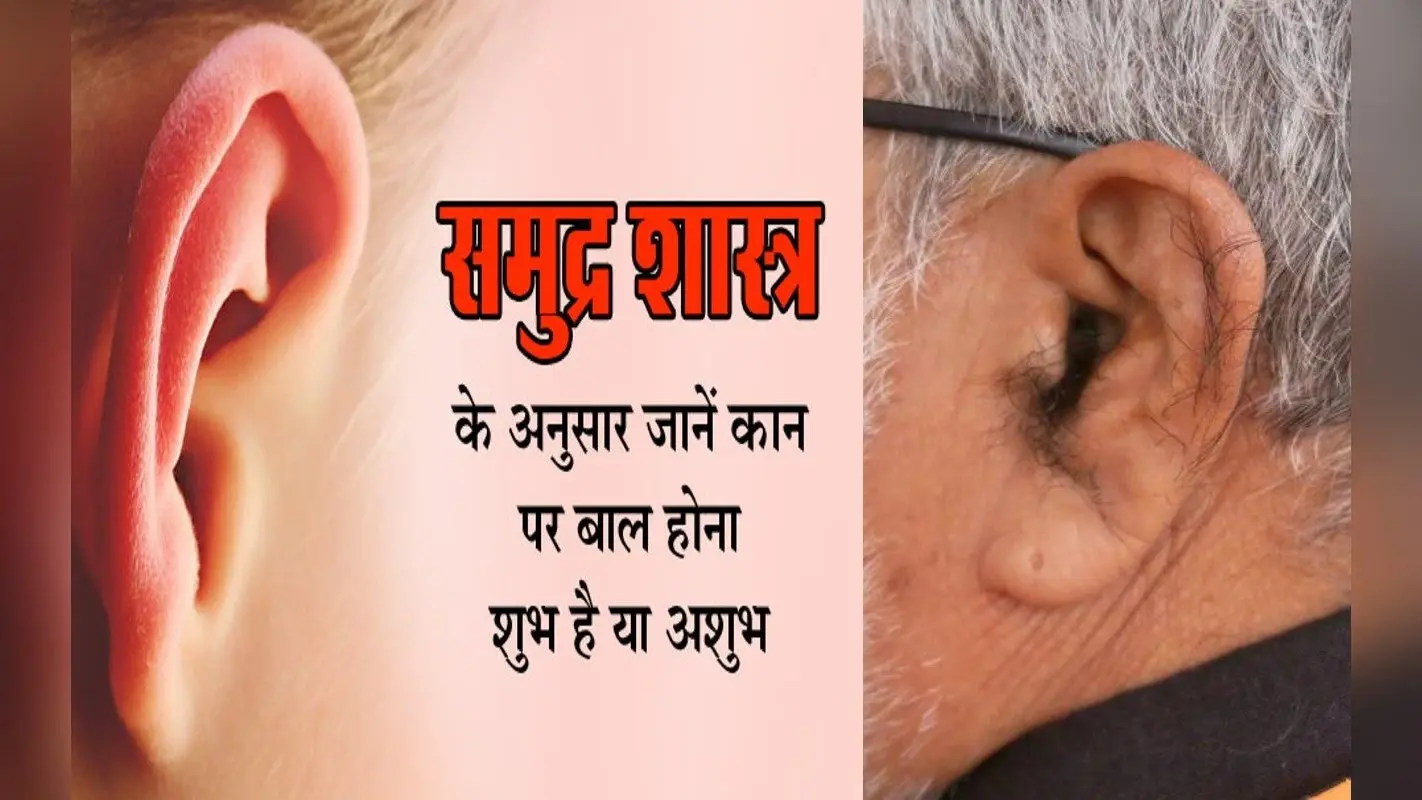 Hair on Ears: कान में बाल होने के क्या हैं संकेत, ऐसे लोग के बारे में जानकर हो जाएंगे हैरान