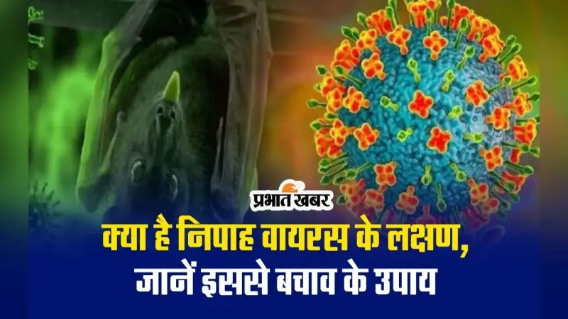 VIDEO : निपाह वायरस के क्या हैं लक्षण, जानें बचाव के उपाय