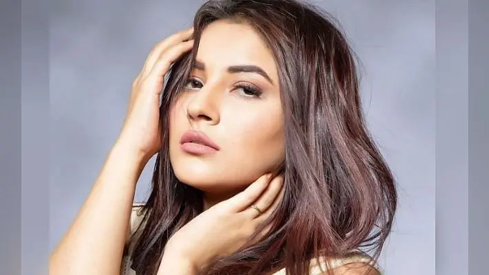 इंग्लिश में गाना गाते और रैप करते दिखी शहनाज गिल, VIDEO देख फैंस बोले- क्या अंग्रेजी बोलती हो…