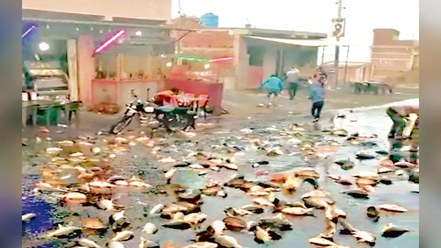 झारखंड के एक थानेदार मछली गायब करने के मामले में नपे, जवान भी हुआ सस्पेंड, जानें पूरा मामला