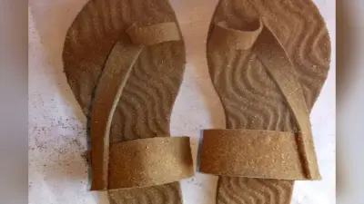 गोबर से बनी यह डिवाइस खत्म करती है मोबाइल रेडिएशन, चप्पल के भी दिव्यकांत ने गिनाये फायदे