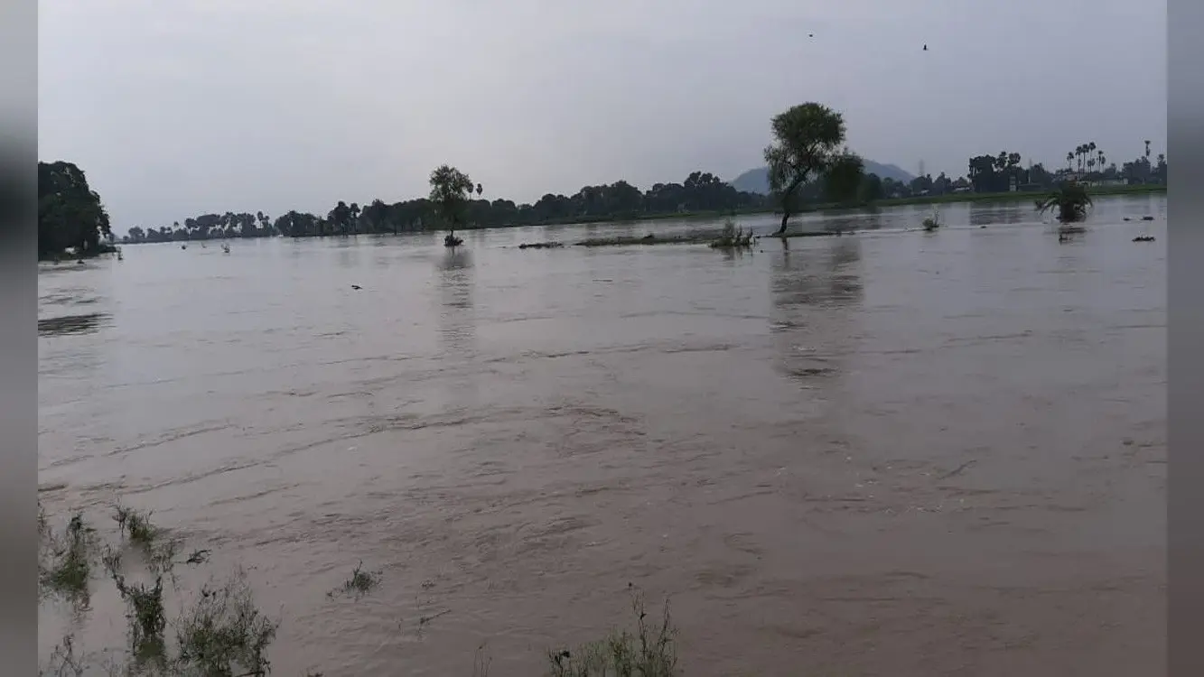 भारी बारिश होने के कारण नदियों का बढ़ा जलस्तर, घरों में घुसा रमजान नदी का पानी