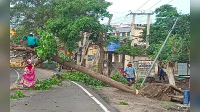 Jharkhand Weather Update: गोड्डा में आंधी-पानी से भारी तबाही, कई पेड़ गिरे, आम की फसलों को पहुंचा नुकसान
