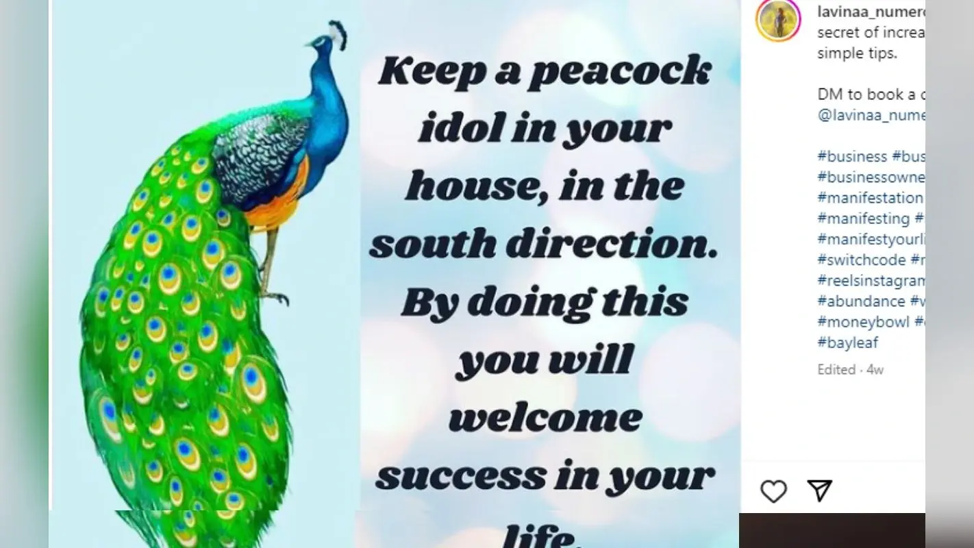 Good Luck Tips: घर-ऑफिस की दीवार पर लगायें मोर की पेंटिंग नौकरी, व्यापार में मिलेगा लाभ