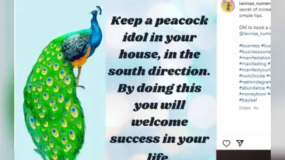Good Luck Tips: घर-ऑफिस की दीवार पर लगायें मोर की पेंटिंग नौकरी, व्यापार में मिलेगा लाभ