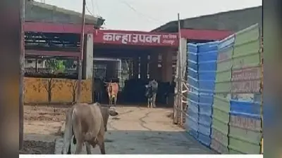 Gorakhpur News: GDA के निशाने पर अवैध कॉलोनियां, ड्रोन से किया जा रहा चिन्हित