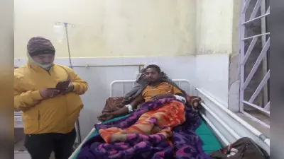 Jharkhand News: झारखंड के गुमला में जंगली सूकर से भिड़ी बहादुर महिला, जान पर खेलकर बचायी पति की जिंदगी
