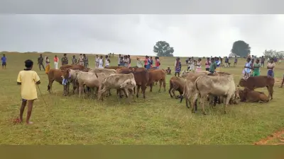 गौवंश बचायेंगे, तो बचेगा पर्यावरण