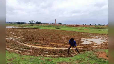 झारखंड : गुमला में नहीं हुई अच्छी बारिश, फिर भी खरीफ फसलों की खेती में जुटे किसान