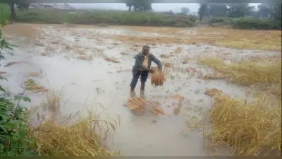 Climate Change : किसानों के लिए लगातार तीसरे साल भी बेईमान रहेगा मौसम, वैज्ञानिकों ने जतायी आशंका