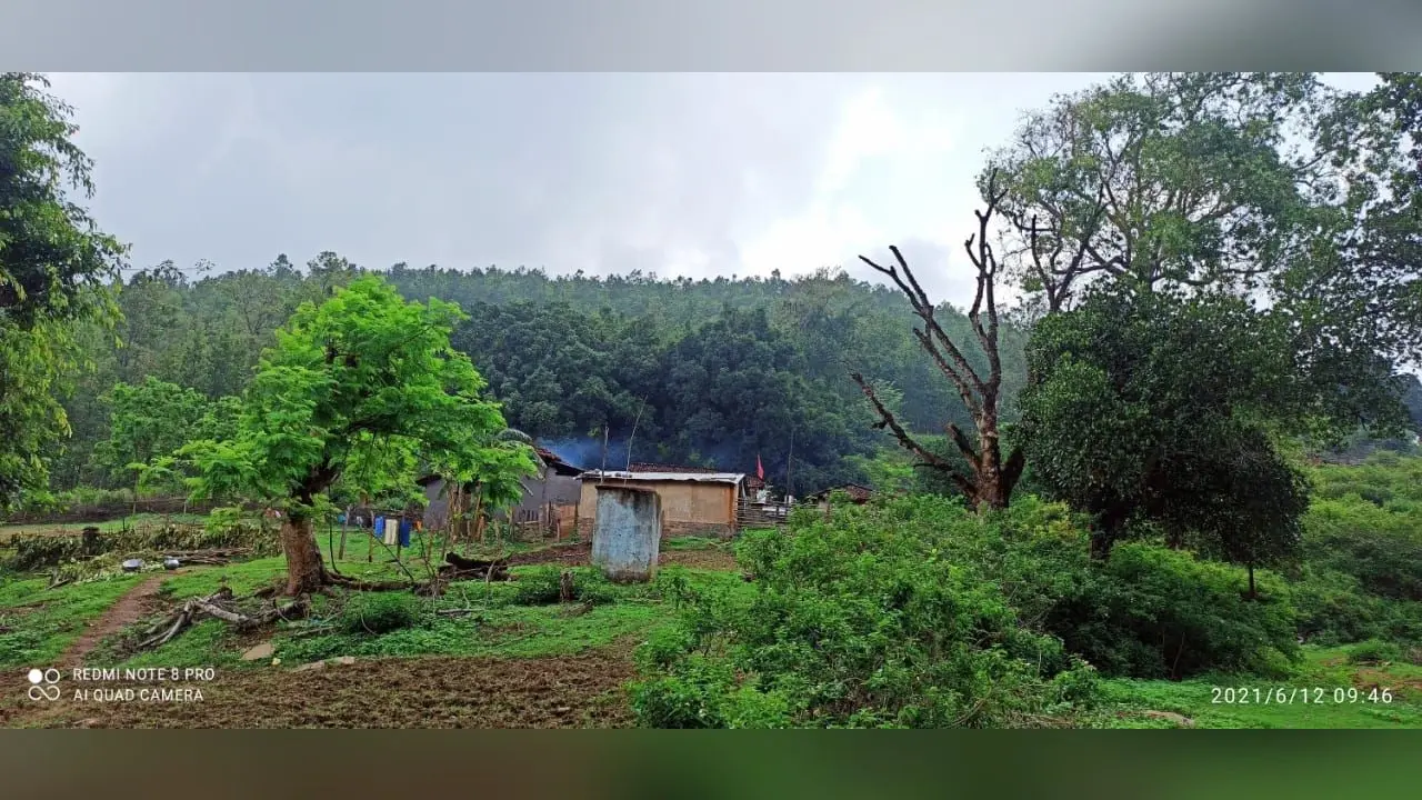 Survey Report : सर्वे रिपोर्ट से हुआ खुलासा, गुमला में दो महीने में 1620 लोगों की हुई मौत, गांवों में बढ़ रहे शुगर, हाई बीपी व हार्ट के मरीज