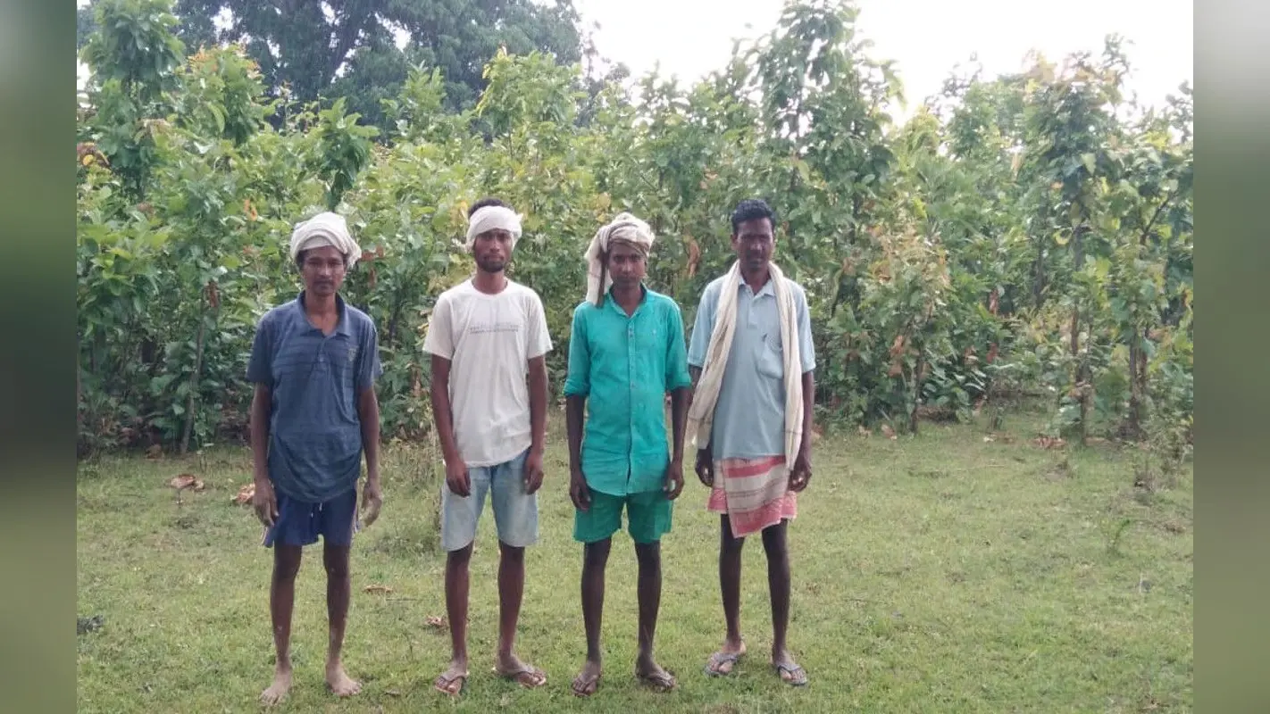 World Environment Day 2020 : गुमला के 5 किसानों की मेहनत लायी रंग, बेकार पड़ी 6 एकड़ जमीन पर छायी हरियाली