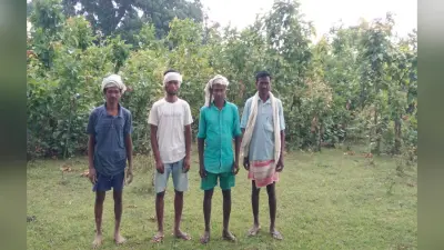 World Environment Day 2020 : गुमला के 5 किसानों की मेहनत लायी रंग, बेकार पड़ी 6 एकड़ जमीन पर छायी हरियाली