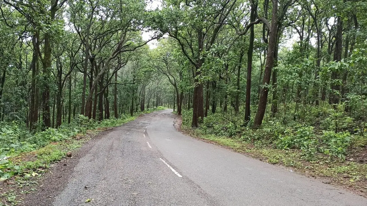 Jharkhand Weather Forecast: झारखंड में बदला मौसम का मिजाज, मेघ गर्जन के साथ बारिश के आसार, वज्रपात की भी आशंका