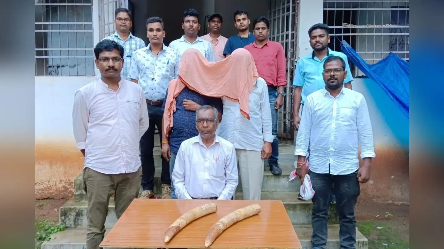 ओडिशा में तस्करी से पहले वन विभाग ने फिल्मी अंदाज में जब्त किए हाथी के दो दांत, दो तस्कर भेजे गए जेल