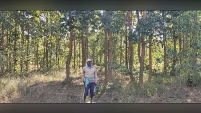 देश सेवा के बाद रिटायर्ड सैनिक बंधन उरांव ने वीरान जंगल में लायी हरियाली, पेंशन की राशि से पढ़े गांव के बच्चे कर रहे विदेश में नौकरी, पढ़िए पूरी कहानी