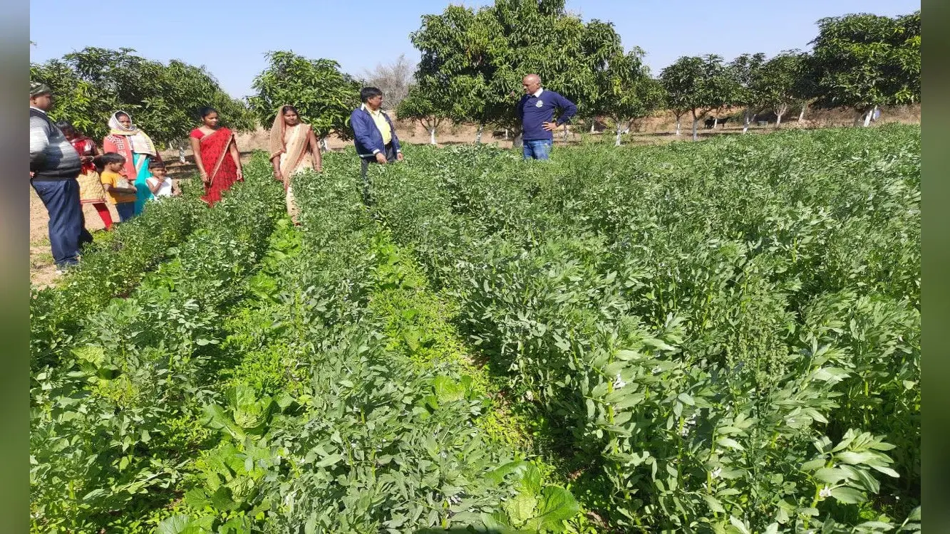 गुनिया गांव के किसान बदल रहे हैं तस्वीर, कभी सूखा झेलने वाले अब 12 महीना करते हैं खेती