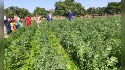 गुनिया गांव के किसान बदल रहे हैं तस्वीर, कभी सूखा झेलने वाले अब 12 महीना करते हैं खेती