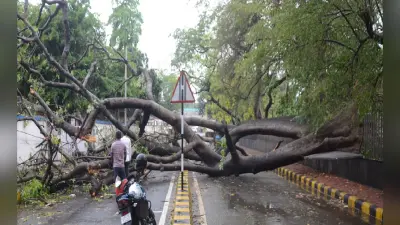 पटना में आफत की बारिश, कई जगह आंधी से गिरे पेड़, मुहल्लों में आधा से एक फुट तक भरा पानी