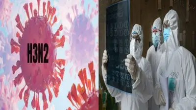 ‘H3N2 वायरस से घबराने की जरूरत नहीं, मगर…’, जानिए क्या कहा विशषज्ञों ने?