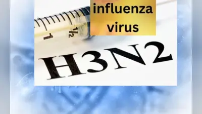कोरोना की तरह ही फैलता है H3N2 वायरस, कई राज्यों में बढ़ी संक्रमितों की संख्या, बचाव के लिए यह उपाय जरूरी