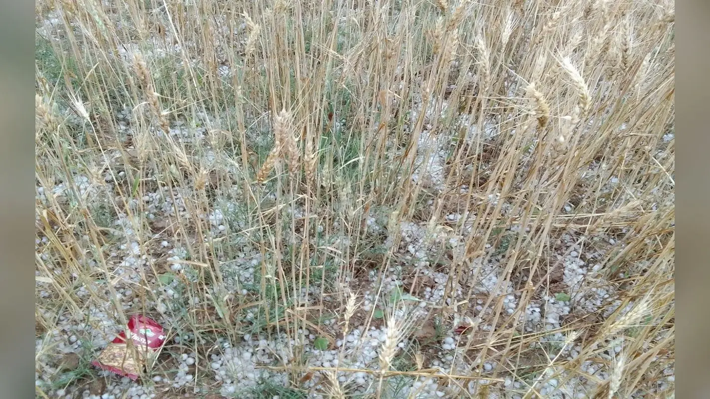 Jharkhand Weather Update: मूसलाधार बारिश के साथ ओलावृष्टि, वज्रपात से 2 की मौत, मां-बेटी समेत 3 महिलाएं घायल