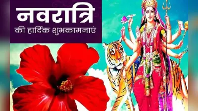 Happy Navratri 2022 Wishes Updates: नमो नमो दुर्गे सुख … नवरात्रि के मौके पर भेजें शुभकामना संदेश