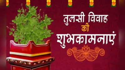 Happy Tulsi Vivah 2022 wishes images status: तुलसी संग शालिग्राम… भेजें तुलसी विवाह की शुभकामनाएं