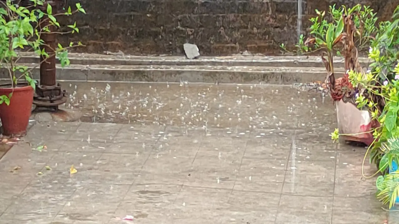 Bihar Weather: पटना में झमाझम बारिश से बदला मौसम का मिजाज, जानें मानसून का पूरा अपडेट