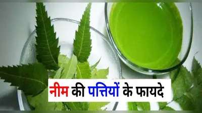 Benefits of Neem: नीम में पाये जाने वाला तत्व कैंसर के खिलाफ कारगर