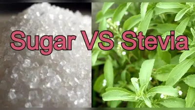 Health Benefits Of Stevia: चीनी को स्टीविया से रिप्लेस करना सही है या गलत ? यहां पढ़ें पूरी डिटेल