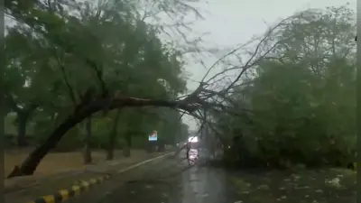 UP Weather Live : लखनऊ में आंधी के साथ बारिश शुरू, मौसम विभाग ने जारी की चेतावनी, किसानों के लिए 24 घंटे भारी