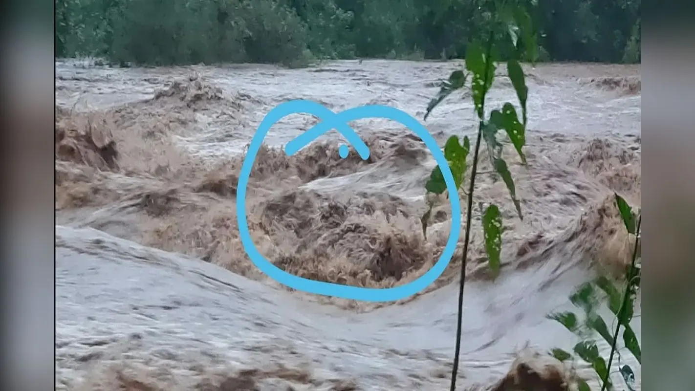 झारखंड में भारी बारिश से तबाही, मुंदार नदी में बहे दो सगे भाई, ग्रामीणों ने एक को बचाया, एक भाई लापता