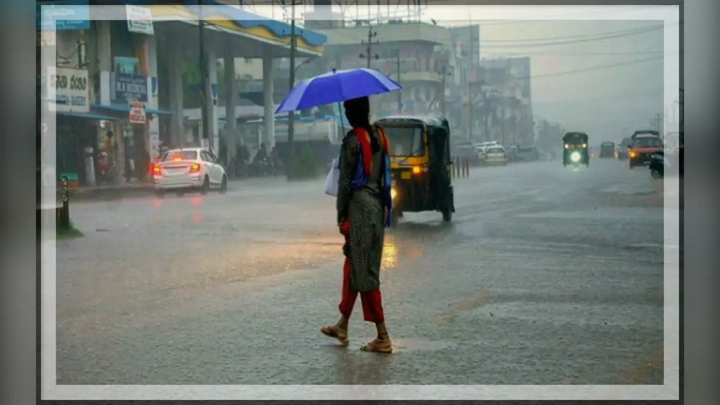 अगस्त में बारिश का रिकॉर्ड टूटने की कगार, धान की फसल में जबरदस्त उछाल!