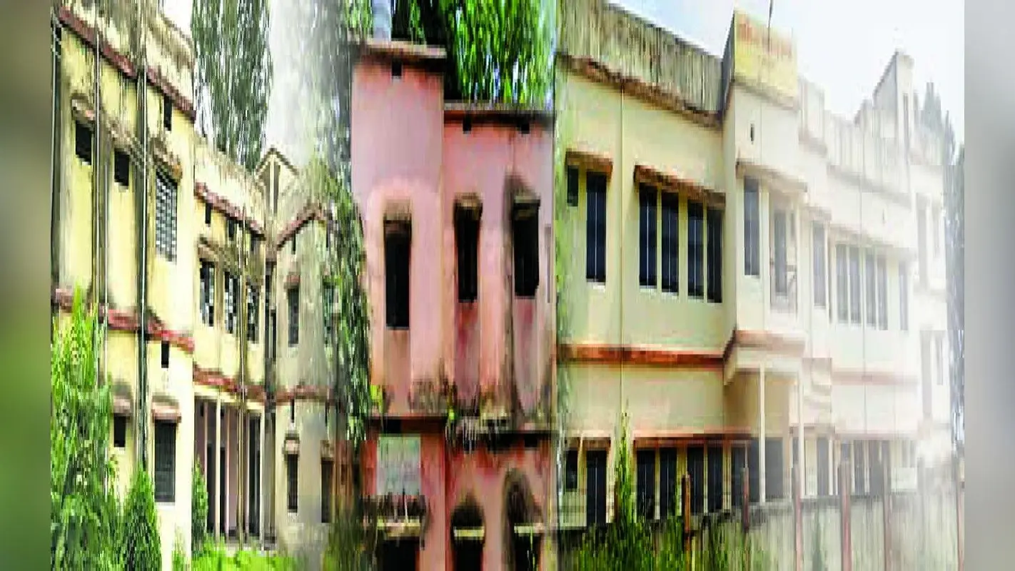 बाल झड़ने के कारण गंजेपन का सता रहा डर, तो आज से करें ये उपाय, रिजल्ट देख चौंक जाएंगे आप