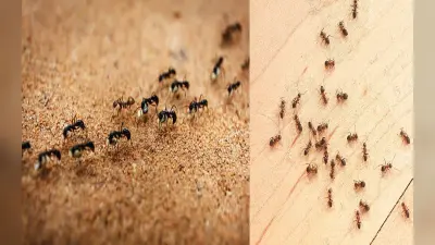आपके जन्म का महीना आपके बारे में क्या कहता है? जनवरी से दिसंबर में जन्में लोगों की क्या है खासियत