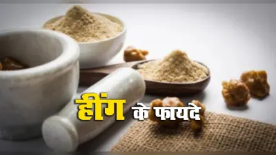 Hing Ke Fayde: चुटकी भर हींग के अद्भुत फायदे, पाचन तंत्र, संक्रामक रोग में लाभदायक तो प्रजनन क्षमता बढ़ाने में भी मददगार