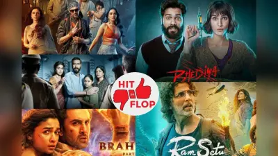 Hit-Flop Films: साल 2022 में इन फिल्मों ने मचाया धमाल, कुछ ने फेरे मेकर्स के आरमानों पर पानी, देखें लिस्ट