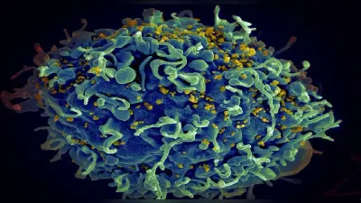 क्या है Cord Blood Treatment, जानिए कैसे ठीक हुआ मिश्रित नस्ल की अमेरिकी महिला का HIV