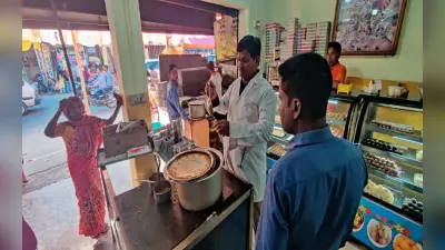 Diwali 2022: दिवाली पर मिलावटी पनीर, मिल्क केक और रसगुल्ला तो नहीं खा रहे ! ऐसे हुआ खुलासा