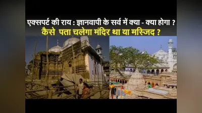 एक्सपर्ट की राय : ज्ञानवापी के सर्व में क्या – क्या होगा ? कैसे पता चलेगा मंदिर था या मस्जिद ?