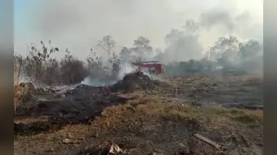 जलवायु जोखिमों से निपटने की तैयारी में जुटा भारत, बजट में ग्रीन ग्रोथ पर जोर समझदारी भरा कदम