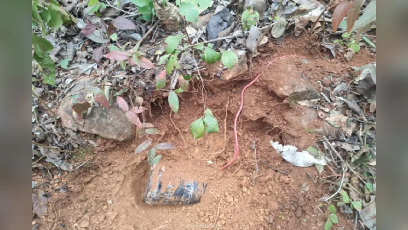 बेगूसराय में बम ब्लास्ट, खंडहरनुमा घर में हुए विस्फोट से 6 बच्चे घायल, मची अफरा-तफरी